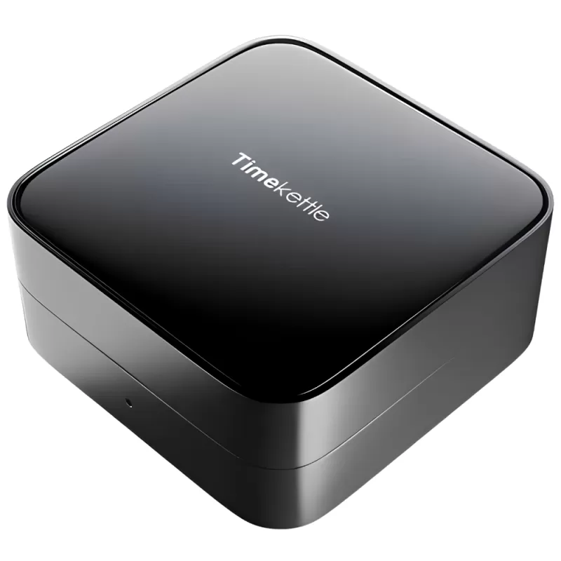 Auricular Traductor de Voz Timekettle W4 Pro - Silver/Black